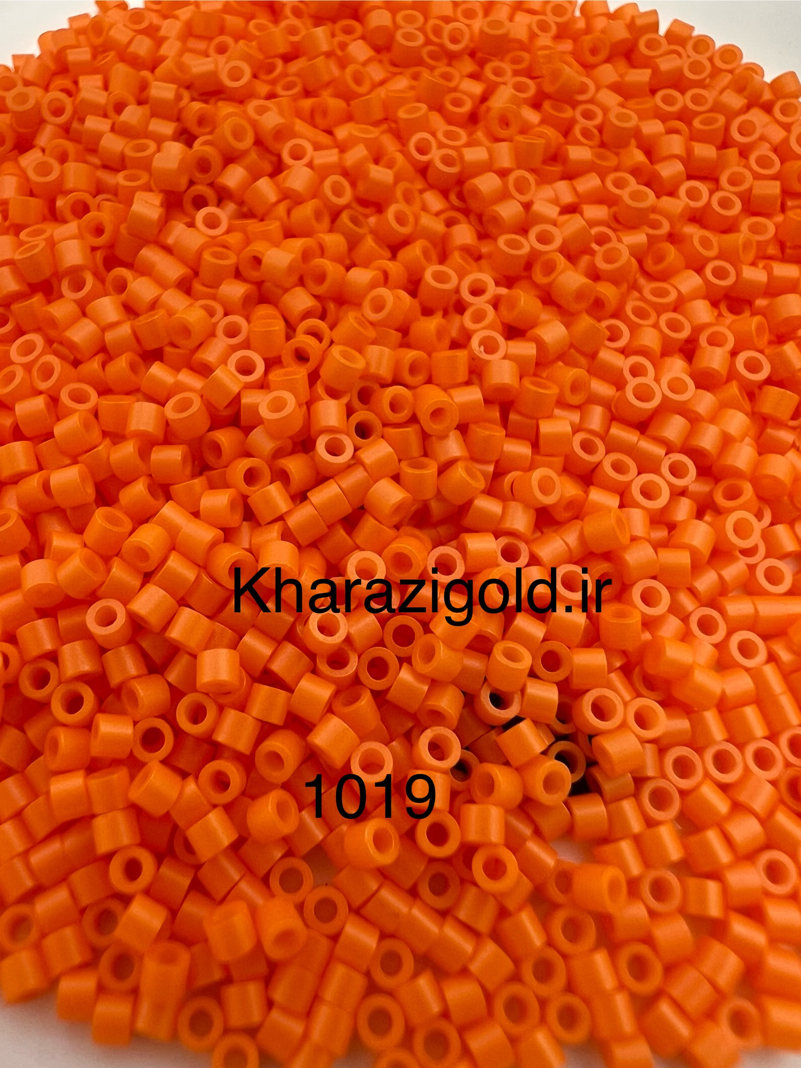 ۱۰۱۹